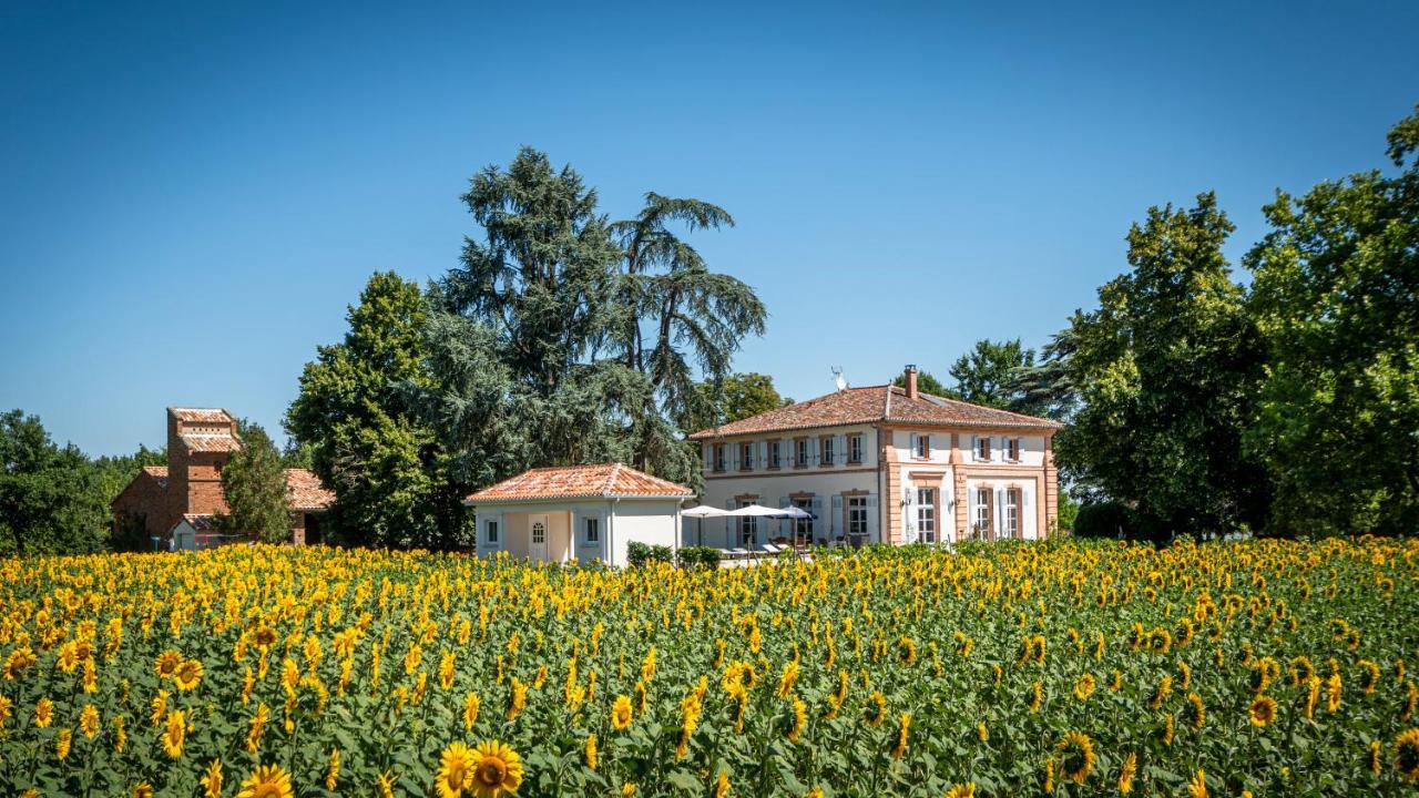 Chambre D'Hotes Et Table D'Hotes Domaine De La Terrasse Sas Et Gite Anda Montauban Lacourt-Saint-Pierre Kültér fotó