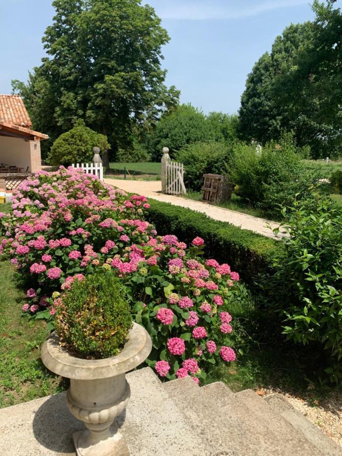 Chambre D'Hotes Et Table D'Hotes Domaine De La Terrasse Sas Et Gite Anda Montauban Lacourt-Saint-Pierre Kültér fotó